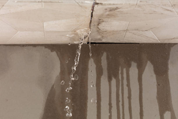 Professional Structural Drying technician working in Oak Hill, OH
